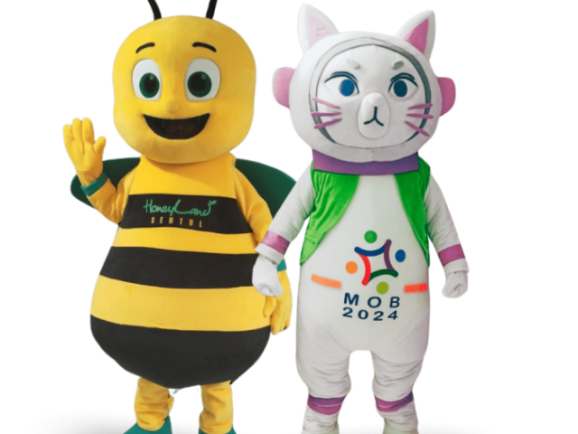 https://calmaskot.com/wp-content/uploads/2024/09/calmaskot-slide-1-640x480.png